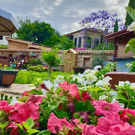 Homestay szállás Necip Bey Konagi