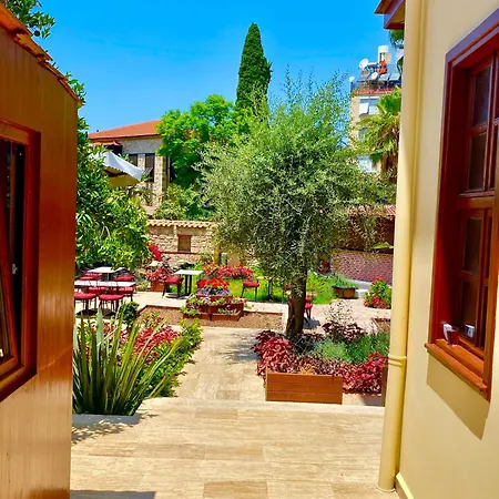 Necip Bey Konagi Habitación en casa particular
