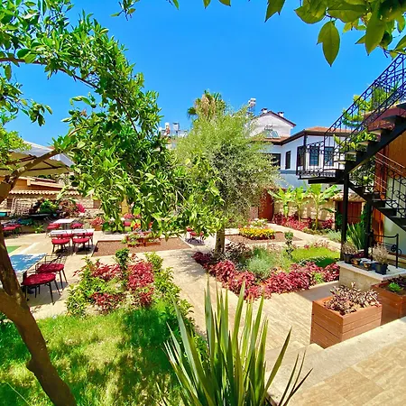 Homestay szállás Necip Bey Konagi *