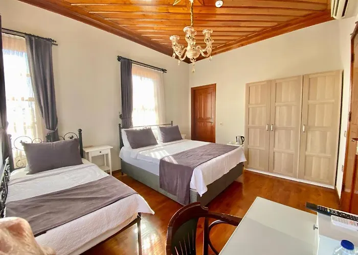 Necip Bey Konagi Privat bolig