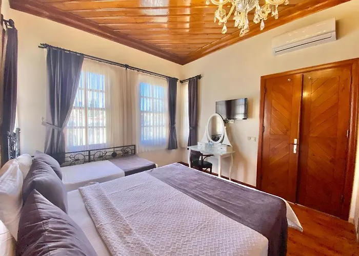 Necip Bey Konagi Privat bolig *